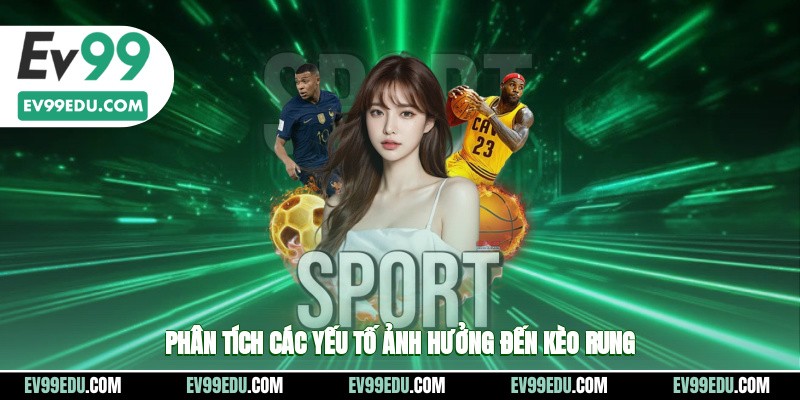 Phân tích những yếu tố quan trọng ảnh hưởng đến kèo rung